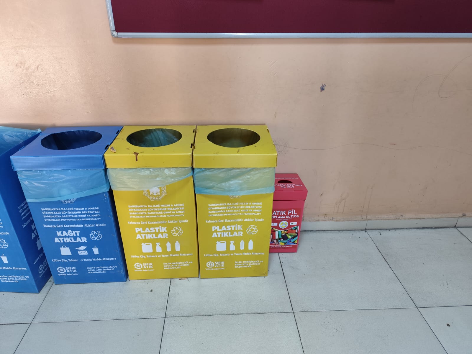 Proje
